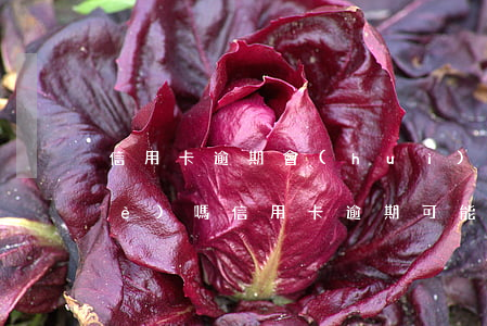 信用卡逾期會(huì)影響子女就業(yè)嗎，信用卡逾期可能對(duì)子女就業(yè)產(chǎn)生影響？你需要了解的真相